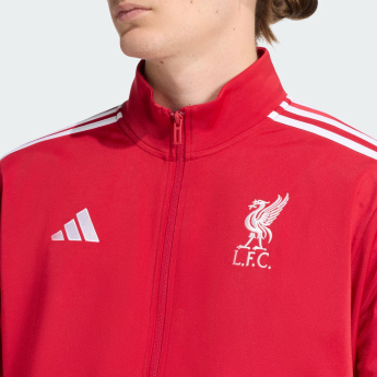 Liverpool kurtka męska DNA Track red