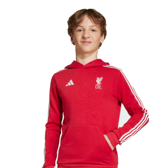 Liverpool dziecięca bluza z kapturem Hoody red