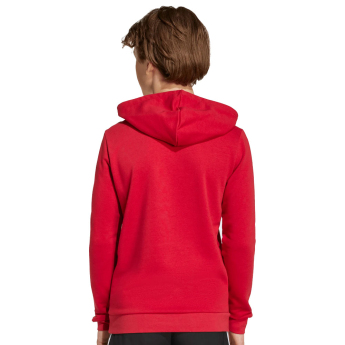 Liverpool dziecięca bluza z kapturem Hoody red