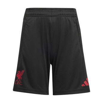 Liverpool dziecięce spodnie treningowe black