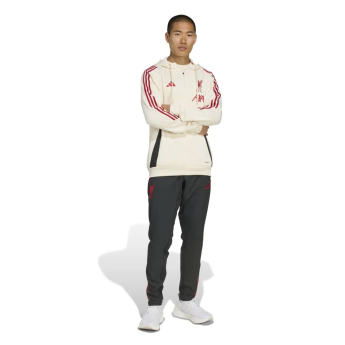 Liverpool męska bluza z kapturem Track beige