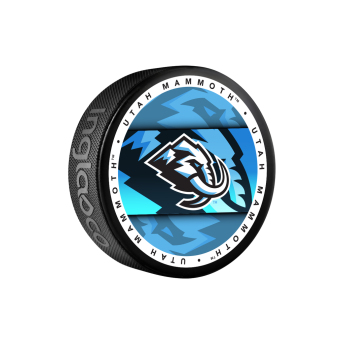 Utah Hockey Club krążek Mammoth Medallion Souvenir Collector