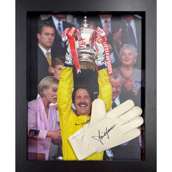 Słynni piłkarze rękawica w antyramie Seaman Signed Glove (Framed)