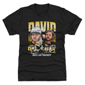 Boston Bruins koszulka dziecięca David Pastrnak #88 Vintage WHT 500 Level