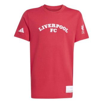 Liverpool koszulka dziecięca US Pack