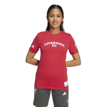 Liverpool koszulka dziecięca US Pack