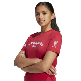 Liverpool koszulka dziecięca US Pack