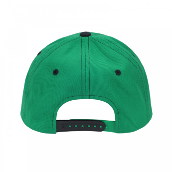 Dallas Stars Czapka NHL Staple Adjustable