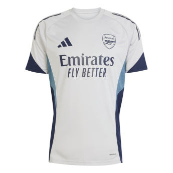Arsenal męska koszulka meczowa grey