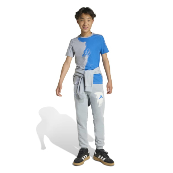 Jude Bellingham spodnie dziecięce Light grey