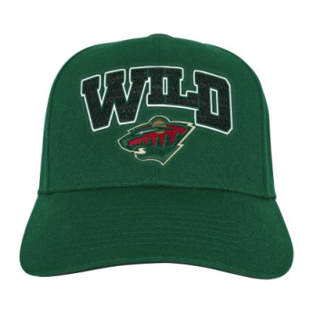 Minnesota Wild dziecięca czapka flat Essentials Procrown