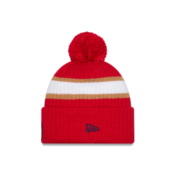 Florida Panthers czapka zimowa New Era Cold Winter