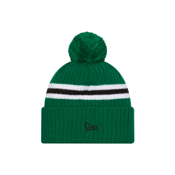 Dallas Stars czapka zimowa New Era Cold Winter