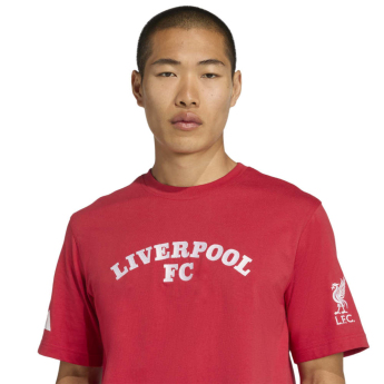 Liverpool koszulka męska US Pack red