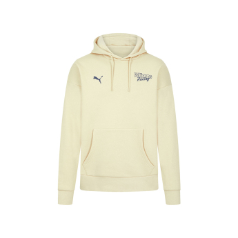 Williams męska bluza z kapturem Oversized beige F1 Team 2024