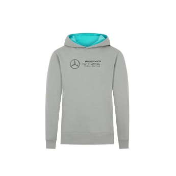 Mercedes AMG Petronas dziecięca bluza z kapturem Hoody Large Logo grey F1 Team 2024