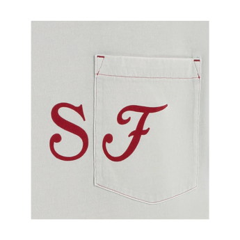 Ferrari koszulka męska Graphic grey F1 Team 2025