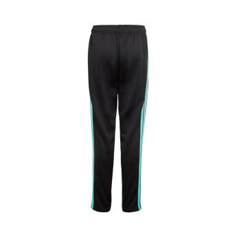 Mercedes AMG Petronas spodnie dziecięce DNA Logo black F1 Team 2025