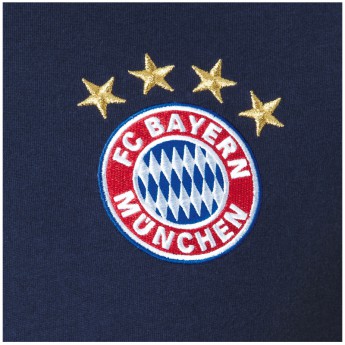 Bayern Monachium t-shirt męski 3S blue-red 1