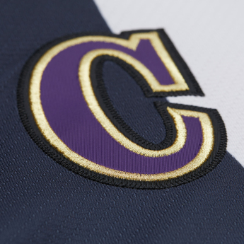 Los Angeles Kings hokejowa koszulka meczowa Wayne Gretzky 1995 NHL Alternate Jersey