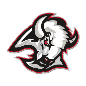 Buffalo Sabres pineska Enamel Pin Jewelry Card