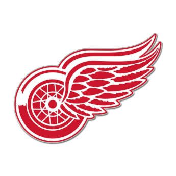 Detroit Red Wings pineska Enamel Pin Jewelry Card