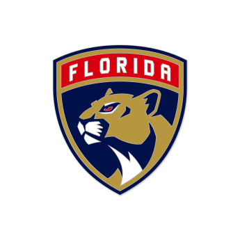 Florida Panthers pineska Enamel Pin Jewelry Card