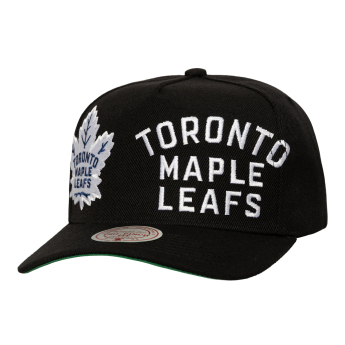 Toronto Maple Leafs czapka baseballówka Busted Pro Snapback black