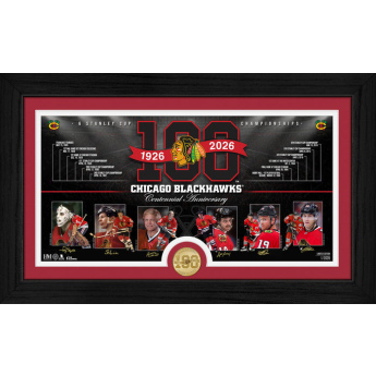 Chicago Blackhawks tabliczka kolekcjonerska 100th bronze coin Timeline photo mint