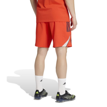 Bayern Monachium męska bielizna Downtime red