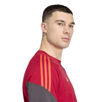 Liverpool koszulka męska Tiro Tee red