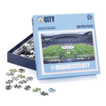 Manchester City memory 500pc