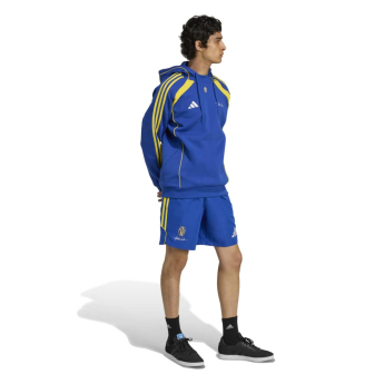 Juventus męska bluza z kapturem Vialli Pack