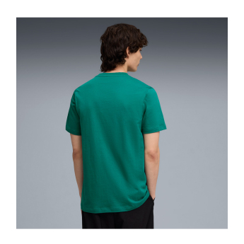 Aston Martin koszulka męska greem Large Logo F1 Team 2026