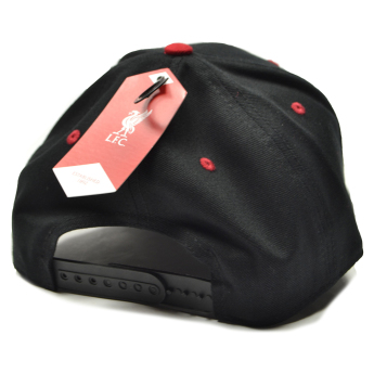 Liverpool czapka baseballówka Mass Frost black