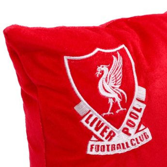 Liverpool poduszka Geo