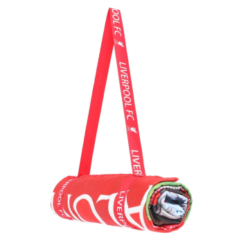 Liverpool ręcznik plażowy stadium