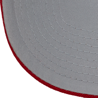 Detroit Red Wings czapka baseballówka Tailsweeps Pro Snapback