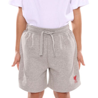 Liverpool spodenki dziecięce Sweat grey