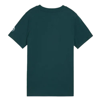 Manchester City koszulka dziecięca FtblCulture green