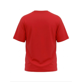 Detroit Red Wings koszulka męska Tek Patch red