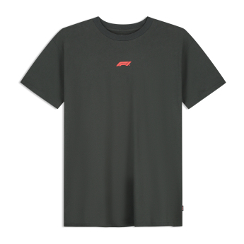 Formuła 1 koszulka męska RDW Graphic black 2026