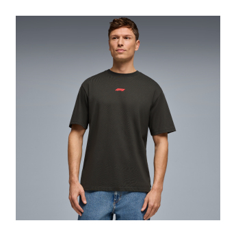 Formuła 1 koszulka męska RDW Graphic black 2026