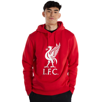 Liverpool męska bluza z kapturem Liverbird red