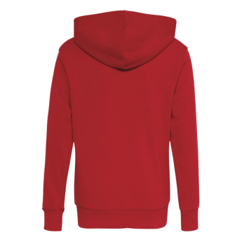 Bayern Monachium Bluza dziecięca Hoodie