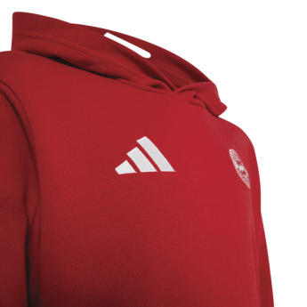 Bayern Monachium Bluza dziecięca Hoodie