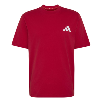 Manchester United koszulka męska Seasonal red