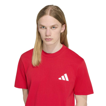 Manchester United koszulka męska Seasonal red