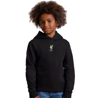 Liverpool dziecięca bluza z kapturem Anfield black