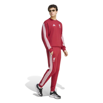 Liverpool bluza męska DNA Sweat red